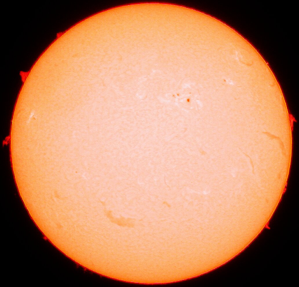 sonne coronado
